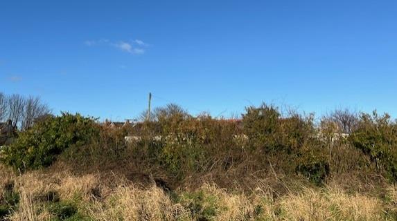 Graingers Road, Hornsea